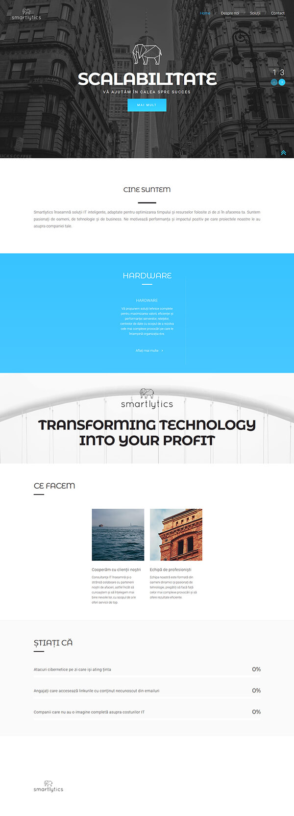 Business website preview.